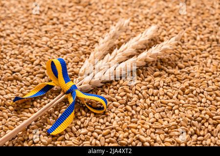 Weizenbündel mit gelbem und blauem Band in den Farben der ukrainischen Flagge auf Kornhaufen als Hintergrund. Konzept der Nahrungsmittelversorgungskrise und global Stockfoto