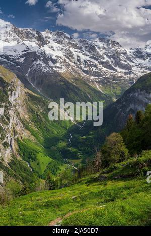 Sommerberglandschaft, Lauterbrunnen, Kanton Bern, Schweiz Stockfoto