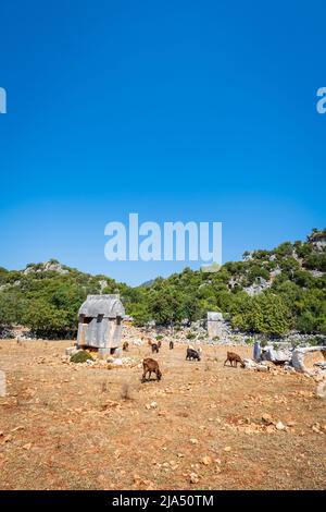 Istlada antike Ruinenstätte. Istlada war eine Stadt des alten Lykien und die Überreste einschließlich lykischer Gräber sind auf der Lykischen Weg Wanderroute in der Türkei gefunden. Stockfoto