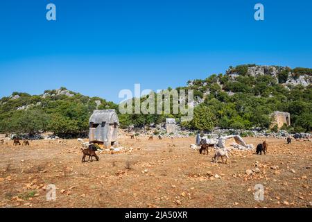 Istlada antike Ruinenstätte. Istlada war eine Stadt des alten Lykien und die Überreste einschließlich lykischer Gräber sind auf der Lykischen Weg Wanderroute in der Türkei gefunden. Stockfoto