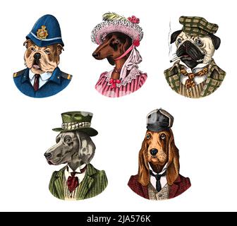 Pug Dog raucht Zigarre im Anzug. Englischer Bulldog Polizist. Herding und Bloodhund und Deutsch Kurzhaar Zeiger und Dachshund. Fashion Animal Stock Vektor