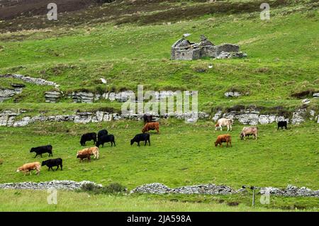 Burg auf einer Croft auf der Insel Rousay, Orkney Islands, Schottland. Stockfoto