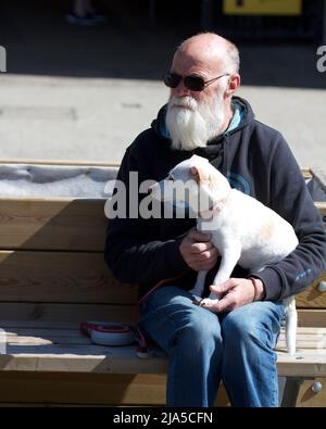 Ein alter Mann mit grauem Bart saß und hielt den Hund Terrier auf seinem Schoß Stockfoto