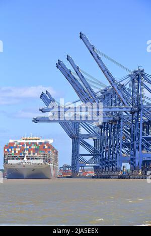 Das Containerschiff OOCL Hong Kong dockt im Hafen von Felixstowe, Suffolk, Großbritannien, an. Stockfoto
