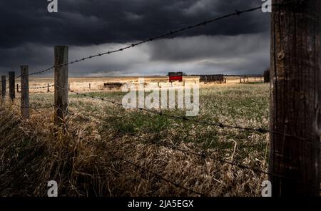 Auf den kanadischen Prärien bildet sich ein Sturm mit einem entfernten alten Schuppen und Stacheldrahtzaun unter düsterer launischer Beleuchtung in Rocky View County Alberta Canada Stockfoto