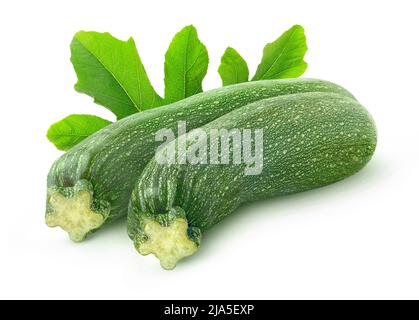 Zwei rohe Zucchini mit isolierten Blättern auf weißem Hintergrund Stockfoto