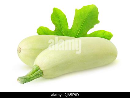 Weiße Zucchini mit isoliertem Blatt auf weißem Hintergrund Stockfoto