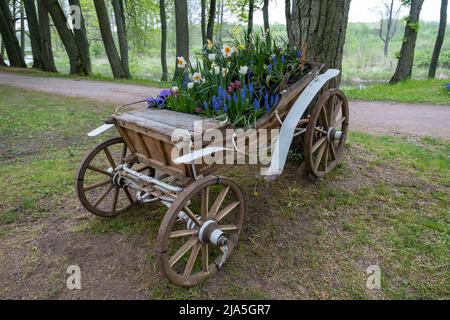 Alter Wagen oder Wagen. Sommertag. Traditionelle ländliche Pferdekutsche. Der Wagen ist rot mit Blumen. Pferdewagen. Retro-Holzrad. Garten und Stockfoto