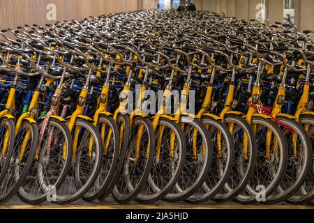 Fahrräder am OV-Fiets-Verleihbahnhof, im Utrecht Hauptbahnhof, Hunderte von Leihfahrrädern warten darauf verwendet zu werden, bieten die Niederländischen Eisenbahnen NS, für Kunden, niedrig Stockfoto