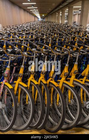 Fahrräder am OV-Fiets-Verleihbahnhof, im Utrecht Hauptbahnhof, Hunderte von Leihfahrrädern warten darauf verwendet zu werden, bieten die Niederländischen Eisenbahnen NS, für Kunden, niedrig Stockfoto