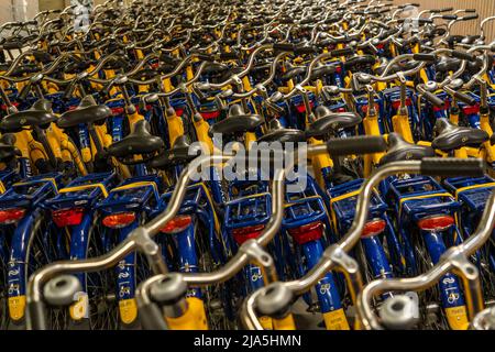 Fahrräder in der Mietstation von OV-Fiets, im Hauptbahnhof von Utrecht, hunderte Mieträder warten auf den Einsatz, Angebot des niederländischen Eisenb Stockfoto