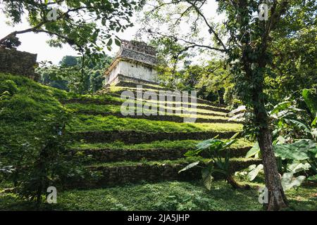 Die Rückseite des Tempels des Grafen von Palenque, einer archäologischen Stätte der Maya in Chiapas, Mexiko Stockfoto