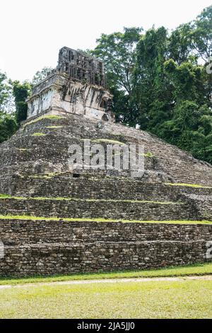 Stufen führen die Seite des Maya-Tempels der Grafen-Pyramide in der Archäologischen Zone Palenque, Bundesstaat Chiapas, Mexiko hinauf Stockfoto