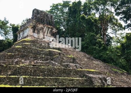 Stufen führen die Seite des Maya-Tempels der Grafen-Pyramide in der Archäologischen Zone Palenque, Bundesstaat Chiapas, Mexiko hinauf Stockfoto