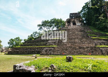 Stufen führen die Seite des Maya-Tempels der Grafen-Pyramide in der Archäologischen Zone Palenque, Bundesstaat Chiapas, Mexiko hinauf Stockfoto