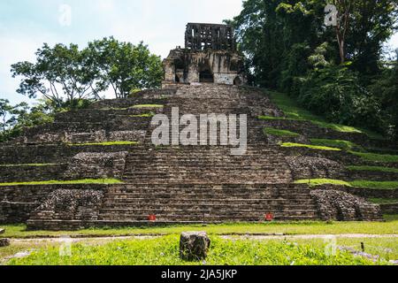 Stufen führen die Seite des Maya-Tempels der Grafen-Pyramide in der Archäologischen Zone Palenque, Bundesstaat Chiapas, Mexiko hinauf Stockfoto