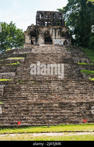 Stufen führen die Seite des Maya-Tempels der Grafen-Pyramide in der Archäologischen Zone Palenque, Bundesstaat Chiapas, Mexiko hinauf Stockfoto