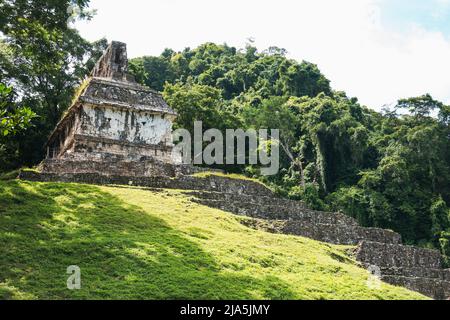 Stufen führen die Seite des Maya-Tempels der Grafen-Pyramide in der Archäologischen Zone Palenque, Bundesstaat Chiapas, Mexiko hinauf Stockfoto