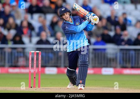 Harry Brook hat sich für Yorkshire Vikings geschlagen Stockfoto