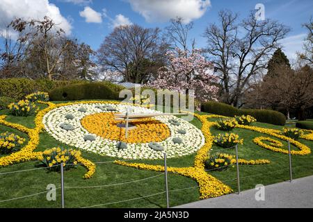 Blumenuhr im Frühlingsdesign in Genf, Schweiz. Stockfoto