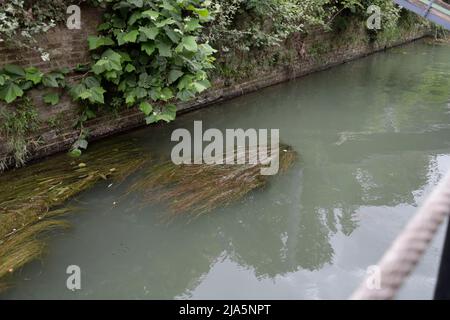 Roma, il Tevere e pericolosamtne in secca, rispetto alle medien del Periodo. Stockfoto