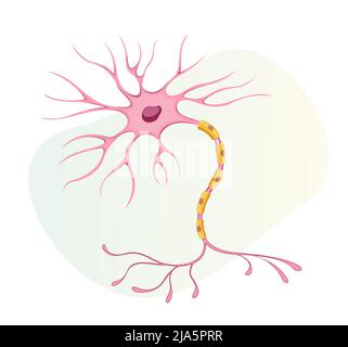 Nurons - Nervenzellen - Stockillustration als EPS 10 Datei Stock Vektor
