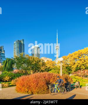 Man radelt an einem Herbsttag auf der Hafenfront in der Innenstadt von Toronto, Ontario, Kanada. Stockfoto