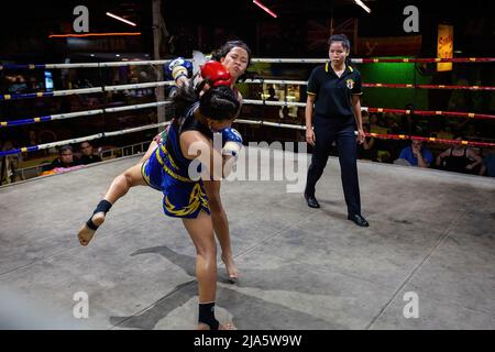 Naem Peaw schlägt Waewdoa während des Kampfes im Thaphae International Boxing Stadium. Vor Jahren war es fast unerhört, Frauen in einem Ringkampf (Muay Thai) in Thailand zu sehen, es sei denn, es war während der Weihnachtszeit in einem zeremoniellen Kampf im lokalen Tempel. Heutzutage ändern sich die Dinge und mehr Frauen treten dem Sport bei. Die Stadt Chiang Mai ist das Epizentrum dieser Veränderung mit der Unterstützung eines lokalen Promoters, der den Sport als einen Weg zur Förderung der Gleichheit und des wachsenden Interesses von Ausländern an dem Sport in der Stadt sieht. In einigen Muay Thai Fitnessstudios überholen Frauen bereits die Anzahl der Stockfoto