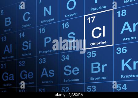 Chlor auf dem Periodensystem der Elemente. Chemisches Element und Halogen mit Symbol CL und Ordnungszahl 17. Stockfoto