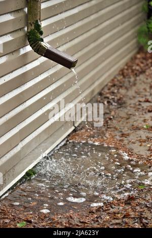 Regenwasser strömt aus einem kurzen Downspout auf der Seite des Hauses, das sich durch das Fundament zusammensammelt Stockfoto