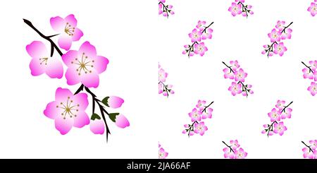 Schöne rosa Blumen mit Knospen und Stiel isoliert auf weißem Hintergrund ist in Nahtloses Muster - Vektor-Illustration Stock Vektor