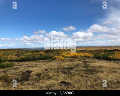 Ein Blick auf Goose Green auf den Falklands Islands. Oberstleutnant Herbert 'H' Jones VC wurde während der Schlacht um Goose Green am 28 1982. Mai in einem entscheidenden Moment des Falklandkrieges auf argentinischer Position getötet. Einer von 255 britischen Soldaten, die während des Konflikts ums Leben kamen, der Kommandeur des Bataillons 2., Parachute Regiment, wurde für seine Taten mit dem Victoria Cross ausgezeichnet, der höchsten und renommiertesten Auszeichnung des britischen Ehrensystems. LT Col Jones' Enkel, PA Media Reporter Henry Jones, reflektiert über den Konflikt und was die Falklandinseln für ihn bedeuten Stockfoto