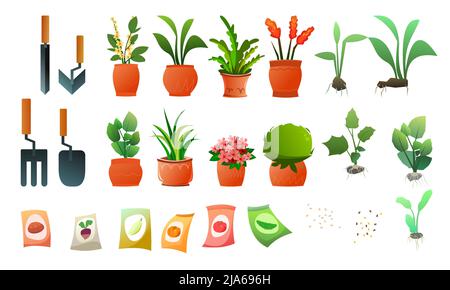 Set von Indoor-Pflanzen und Blumen. Gartengeräte und Samen. In Keramiktöpfen. Hausgemachte schöne Kräuter. Isoliert auf weißem Hintergrund. Witziger Cartoon-Style. Stock Vektor