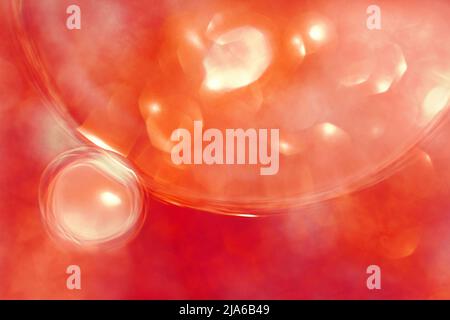 Ölblasen aus der Nähe. Ein Wasserkreislauf. Abstrakter orangefarbener und feuerroter Hintergrund Stockfoto