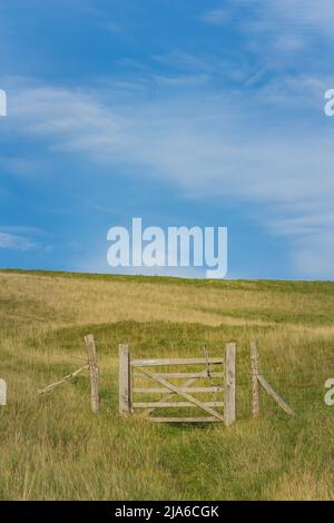 Das hölzerne Tor führt zu einem offenen Feld und einem öffentlichen Fußweg, der an einem sonnigen Sommertag in der Nähe der South Downs, Großbritannien, geführt wird. Stockfoto