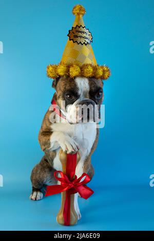 Lustige Boston Terrier Handtücher – Küchen- & Badezimmerhandtuch, Niedliches Hundedesign