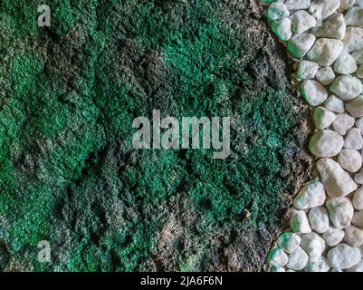 Dekor Stein Mann gemacht Wand Innenarchitektur Textur. Getrennte Yin Yang-Kurvenlinien Formen. Wunderschöne Tapete. Romantisch einfach. Grunge WEISSES Licht Stockfoto