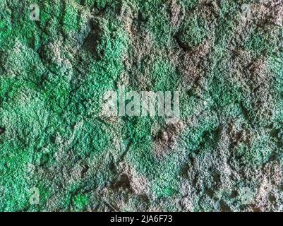 Dekor Stein Mann gemacht Wand Innenarchitektur Textur. Wunderschöne Tapete. Romantisch einfach. Abstrakter grunge dunkelgrau grün lackierter Beton Stockfoto