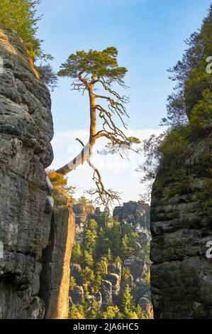 Wandern in Bastei-Felsen, Deutschland Stockfoto