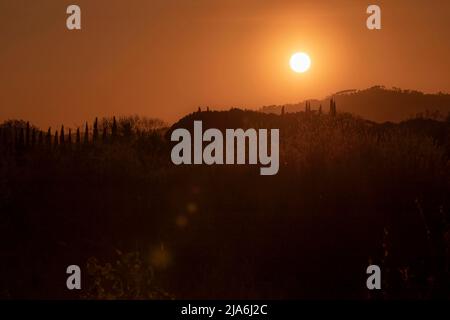 Sonnenuntergang in den toskanischen Hügeln in Italien, warme Orangentöne Stockfoto