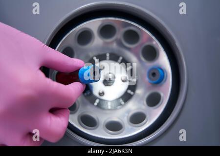 Im Labor befinden sich zwei Reagenzgläser in einer Plasmazentrifuge Stockfoto