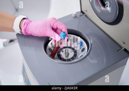 Mit Blut gefüllte Röhrchen werden im Labor in einer Plasma-Hebezentrifuge eingesetzt Stockfoto