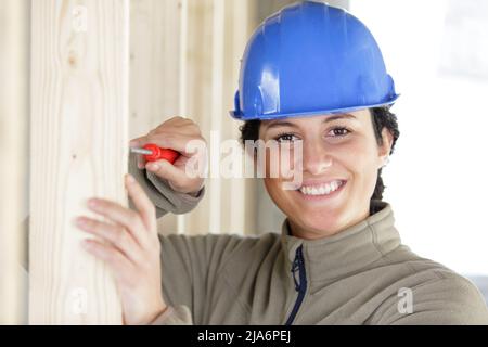 Eine glückliche Frau schraubt eine Schraube in eine Holzkonstruktion Stockfoto