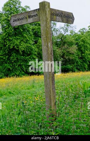 Jackson's Coppice und Marsh Stockfoto