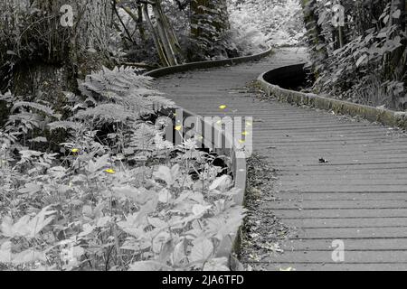 Jackson's Coppice und Marsh Stockfoto