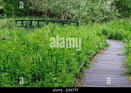 Jackson's Coppice und Marsh Stockfoto