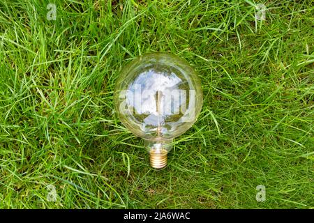 Glühlampe im Gras Nahaufnahme. Blick von oben. Stockfoto