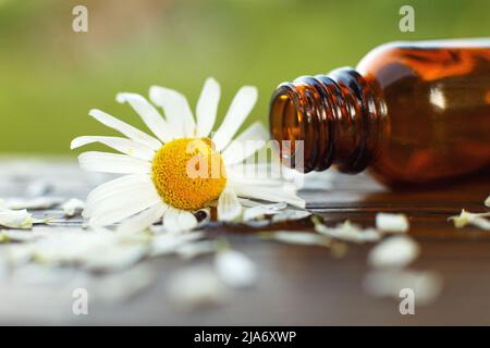 Kamillenblüten und braune Glasflasche aus ätherischem Öl auf einem Holztisch im Freien. Gesundheit Aromatherapie, Spa, Beauty-Konzept Stockfoto