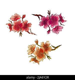 Handgezeichnet Aquarell Sakura Blumen Zweige.isolierte Hintergrund.Design für Hochzeit Einladung, Stoff, Verpackung, Textil, Abdeckung, Postkarte, Papier Stockfoto