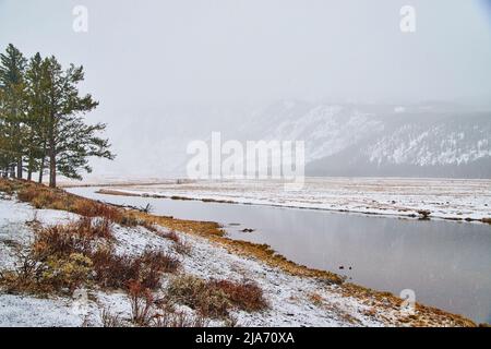 Nebliger Morgen am Yellowstone am Fluss und verschneite Berge Stockfoto